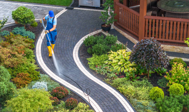 Best Deck Cleaning Services  in Pinch, WV